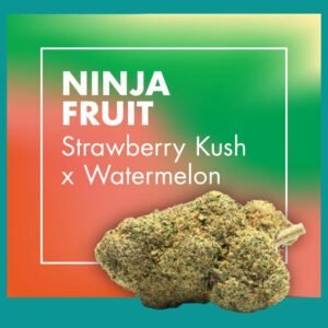 Flores CBD Greenhouse – NINJA FRUIT (Strawberry Kush x Watermelon)