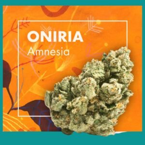 Flores CBD Indoor – ONIRIA (Amnesia CBD)
