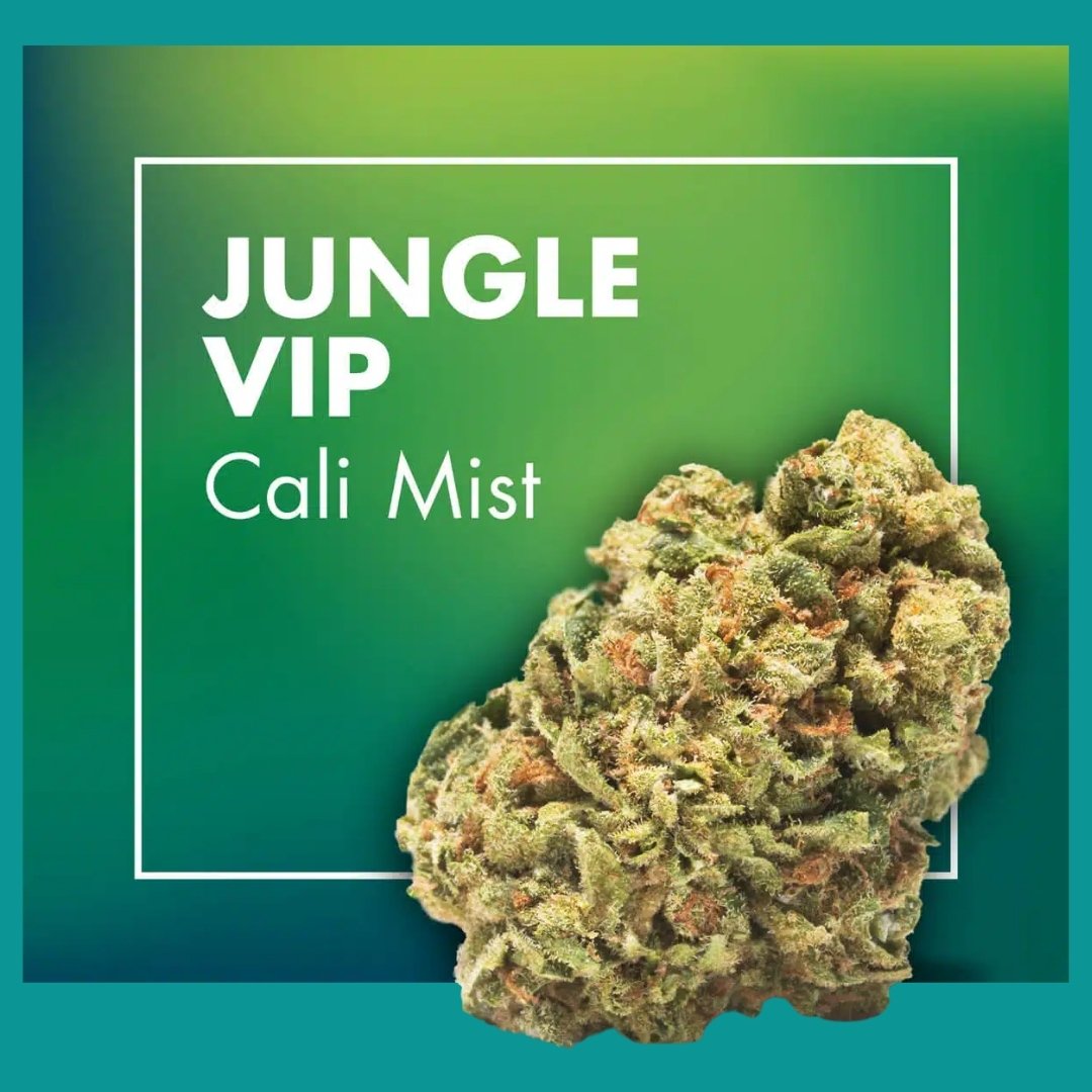 Flores CBD Greenhouse – JUNGLE VIP (Cali Mist)