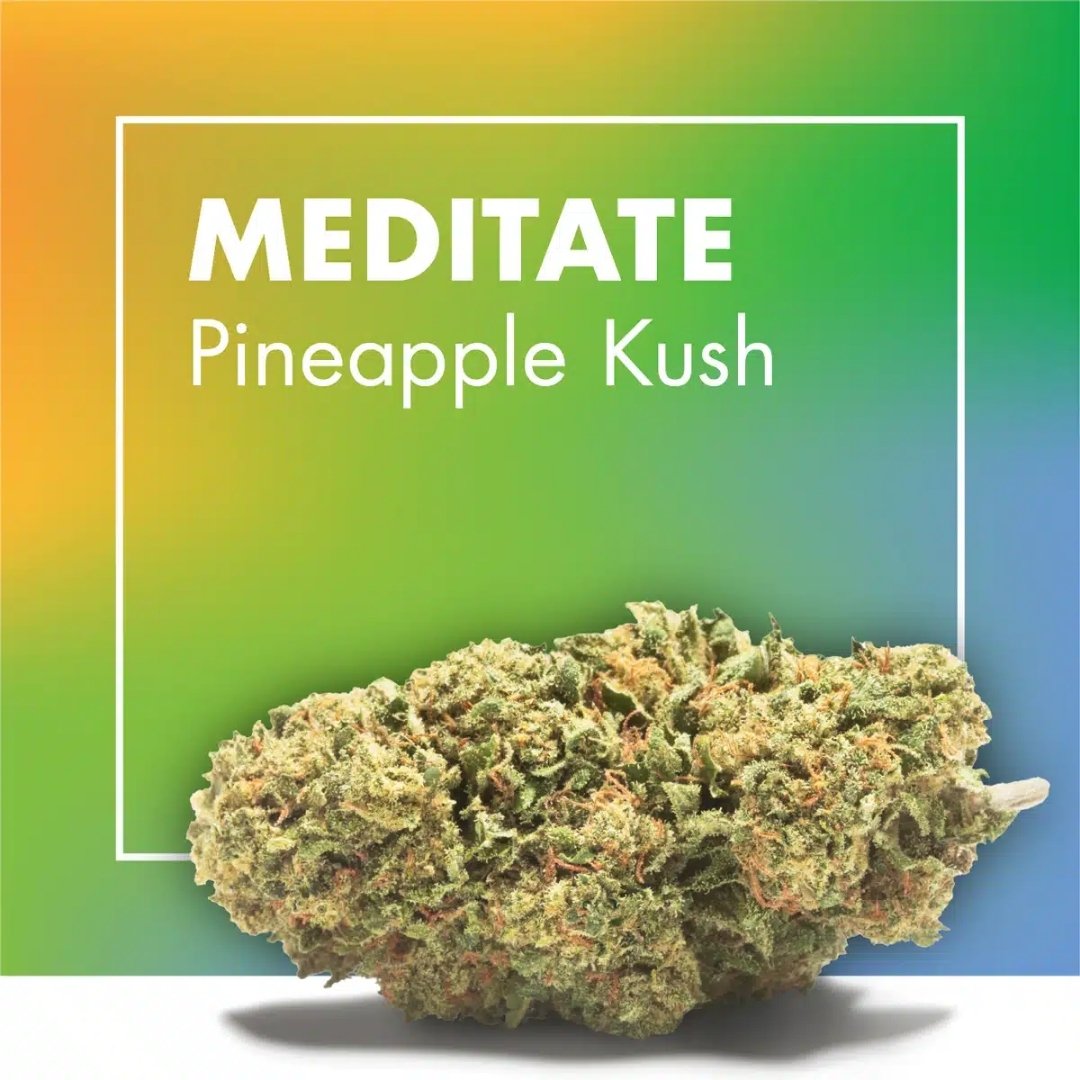 PACK CBD MAXI – 9 Flores Premium (6 + 3 grátis) - Image 3