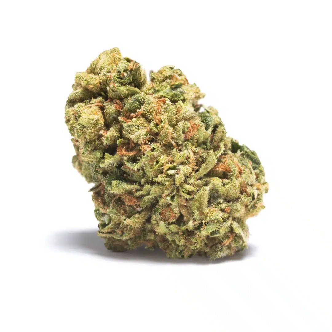 Flores CBD Greenhouse – JUNGLE VIP (Cali Mist) - Image 3
