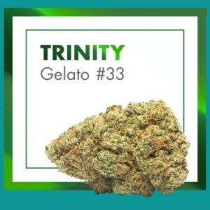 Flores CBD Indoor – TRINITY (Gelato #33)