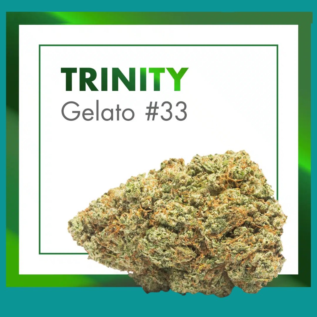 Flores CBD Indoor – TRINITY (Gelato #33)