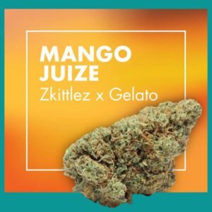 Flores CBD Greenhouse – MANGO JUIZE (Zkittlez x Gelato)