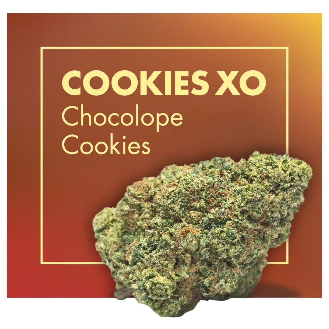 Flores CBD Greenhouse – COOKIES XO (Chocolope Cookies) - Image 2