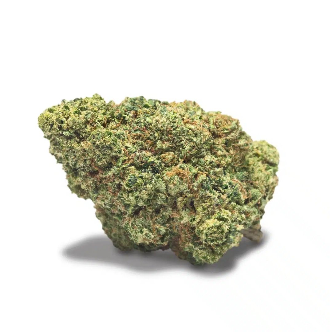 Flores CBD Greenhouse – COOKIES XO (Chocolope Cookies) - Image 3