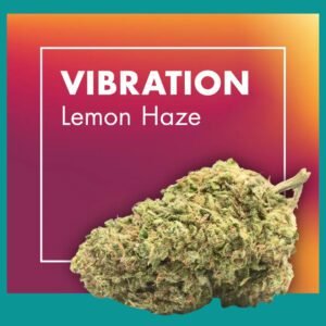 Flores CBD Greenhouse – VIBRATION (Lemon Haze)