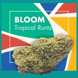 Flores CBD Indoor – BLOOM (Tropical Runtz)