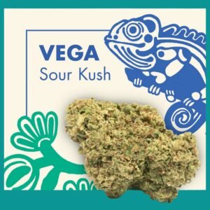 Flores CBD Indoor – VEGA (Sour Kush)