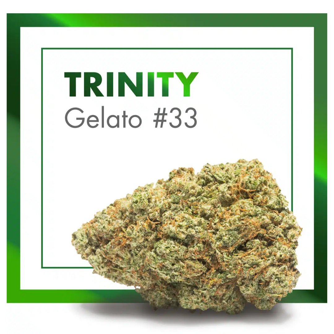 Flores CBD Indoor – TRINITY (Gelato #33) - Image 2