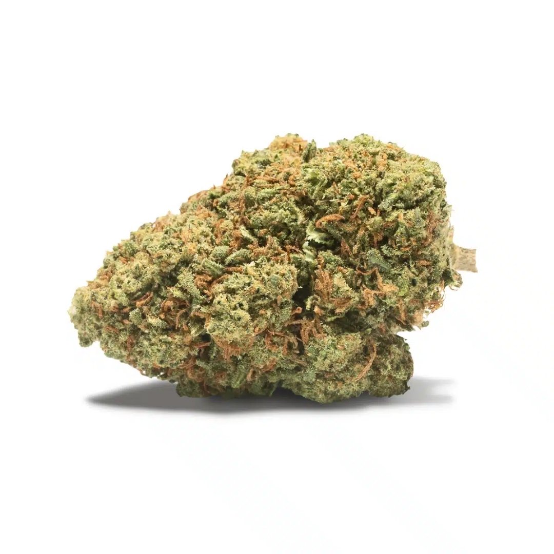 Flores CBD Greenhouse – LOWRIDER (Gelato Sundae) - Image 3