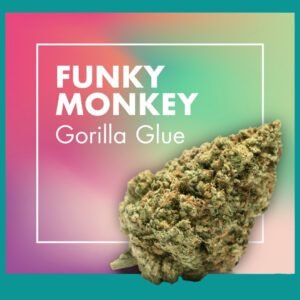 Flores CBD Greenhouse – FUNKY MONKEY (Gorilla Glue)