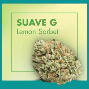 Flores CBD Greenhouse – SUAVE G (Lemon Sorbet)