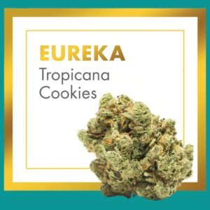 Flores CBD Indoor – EUREKA (Tropicana Cookies)