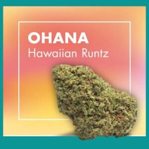 Flores CBD Greenhouse – OHANA (Hawaiian Runtz)