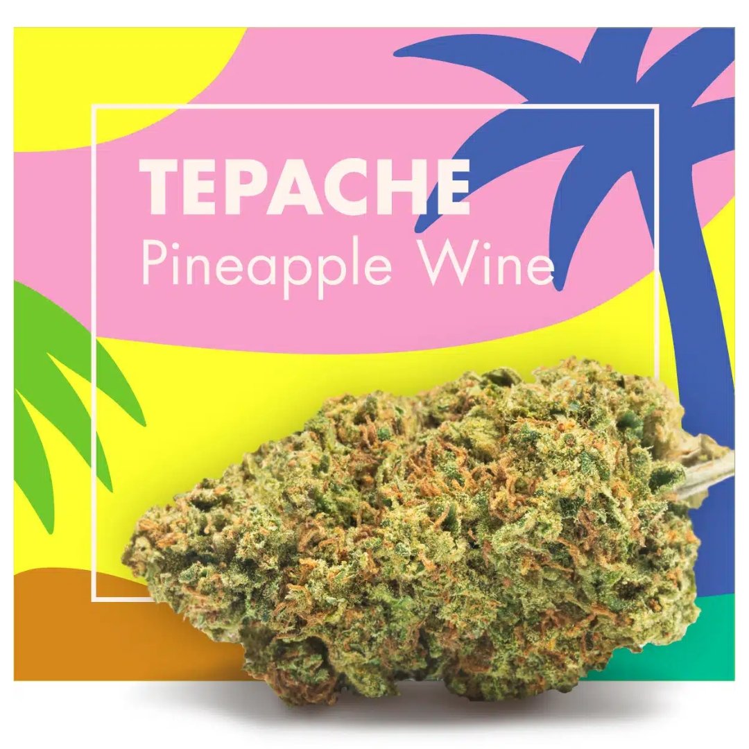 Flores CBD Indoor – TEPACHE (Pineapple Wine) - Image 2
