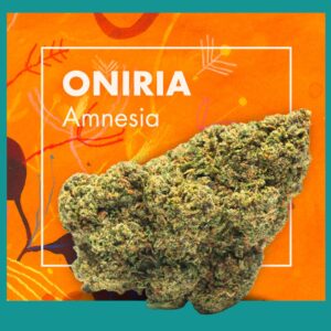 Flores CBD ONIRIA (Amnesia CBD) | CBD INDOOR