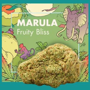 Flores CBD MARULA (Fruity Bliss)