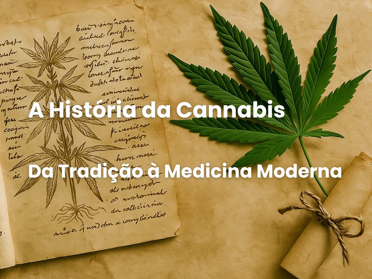 A História da Cannabis